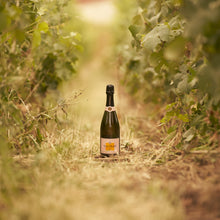 Load image into Gallery viewer, VEUVE CLICQUOT ROSE LABEL (750ml)